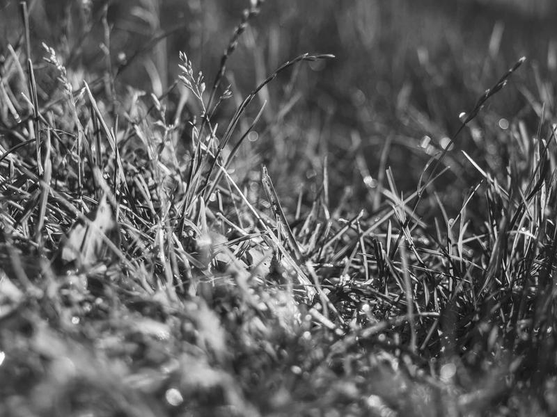 windows screenshot 1